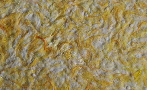 CQ-027A L(fng)Ԑ(i)m