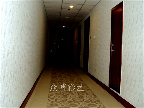 CY-008(݁���ͣ�