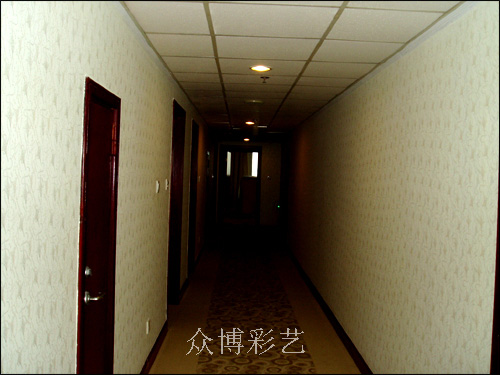 CY-009(݁���ͣ�