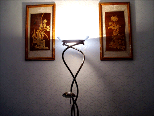 cy-020(݁���ͣ�